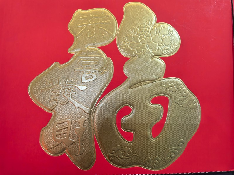 Jinan Exhibition (56)